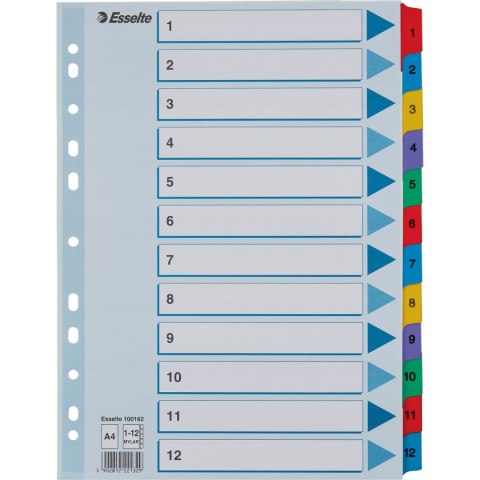 Przekładki kartonowe MYLAR A4 1-12 białe 100162 ESSELTE