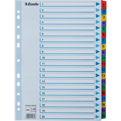 Przekładki kartonowe MYLAR A4 1-20 białe 100163 ESSELTE