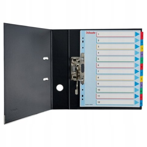 Przekładki kartonowe MYLAR A4 MAXI 1-31 ESSELTE 100210 Przekładki kartonowe MYLAR A4 MAXI 1-31 ESSELTE 100210