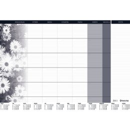 BIUWAR wkład miesięczny 470x330mm 0318-0007-99 PANTA PLAST