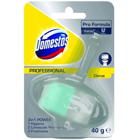 Zawieszka do WC DOMESTOS Professional 40 g CITRUS