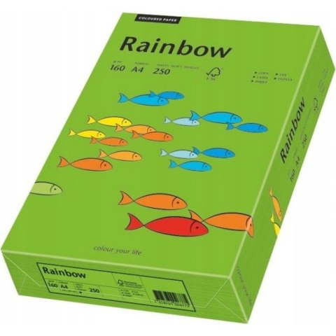 Papier ksero A4 160g RAINBOW R78 ciemny zielony 88042681